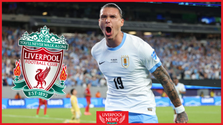 Liverpool striker darwin nunez