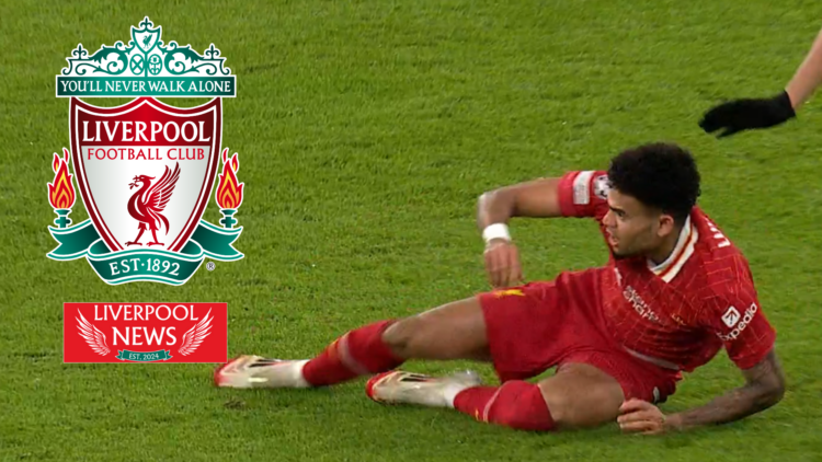 Liverpool badge, Luis Diaz