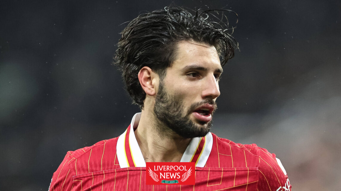 Dominik Szoboszlai, Premier League, Liverpool, Arne Slot, Tim Sherwood, Arne Slot