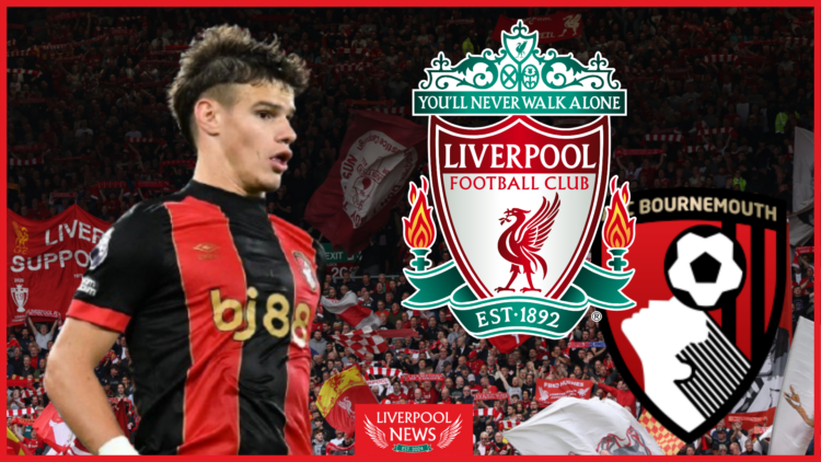 Milos Kerkez, Liverpool badge, Bournemouth badge