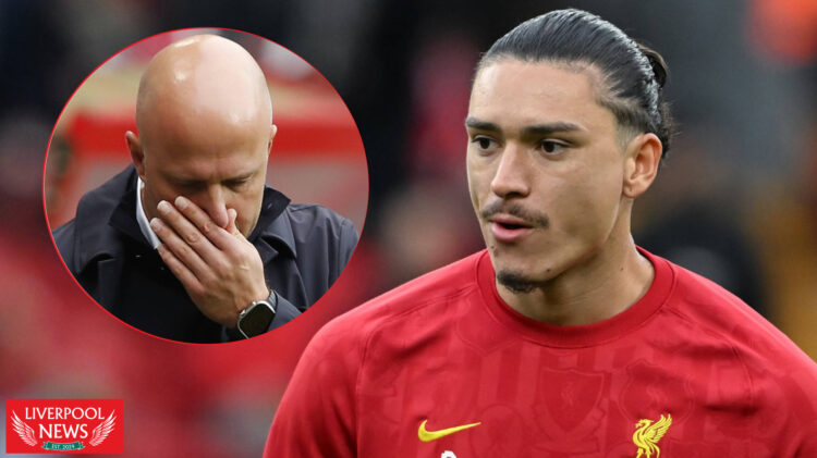 Arne Slot Darwin Nunez Liverpool