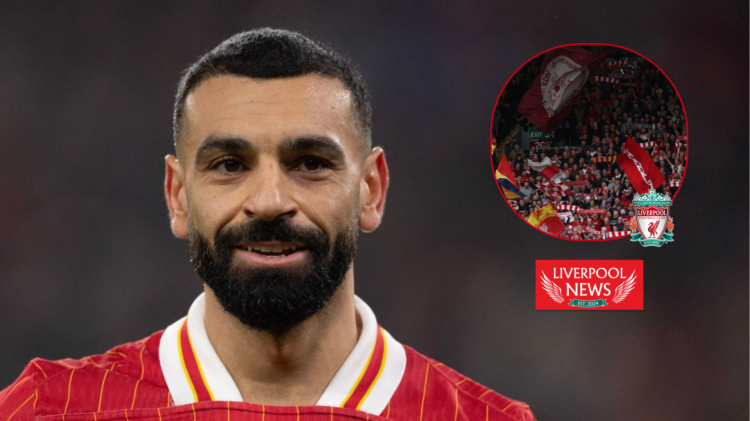 Mohamed Salah fans