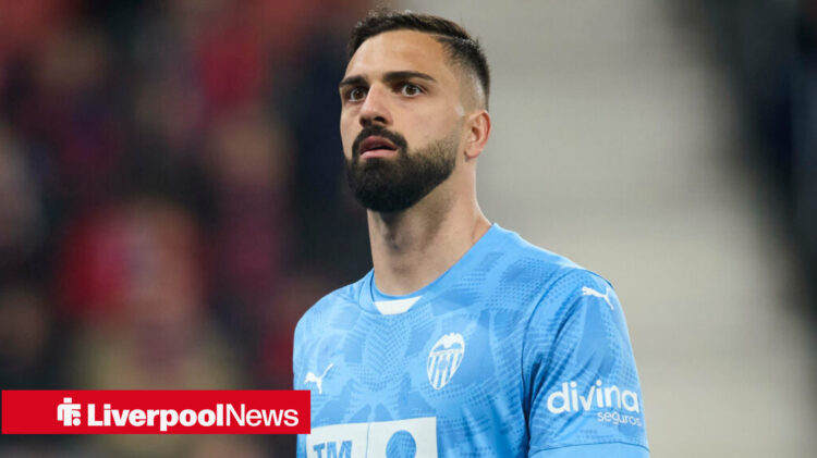 Liverpool's new goalkeeper Giorgi Mamardashvili.